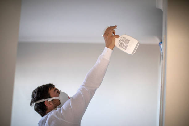 Best Attic Mold Remediation in Hunter, TN