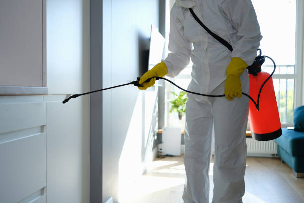 Reliable Hunter, TN Mold Remediation Solutions